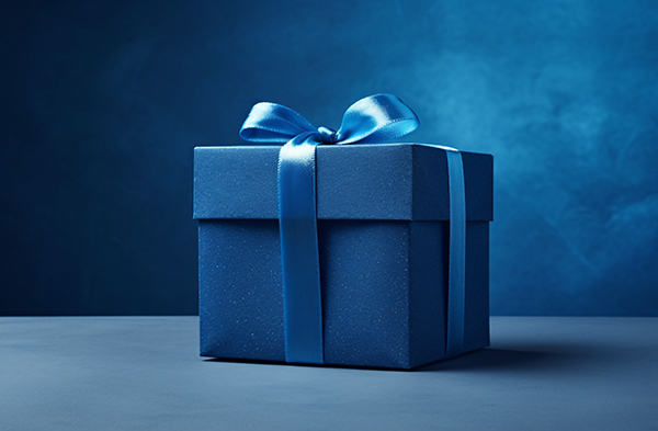boxing day celebration with gift
